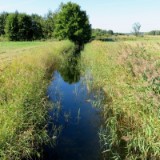 1609F 176 Junge Havel